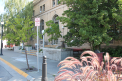 exterior of kalispell library