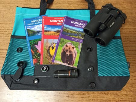 Exploring Biodiversity Kit