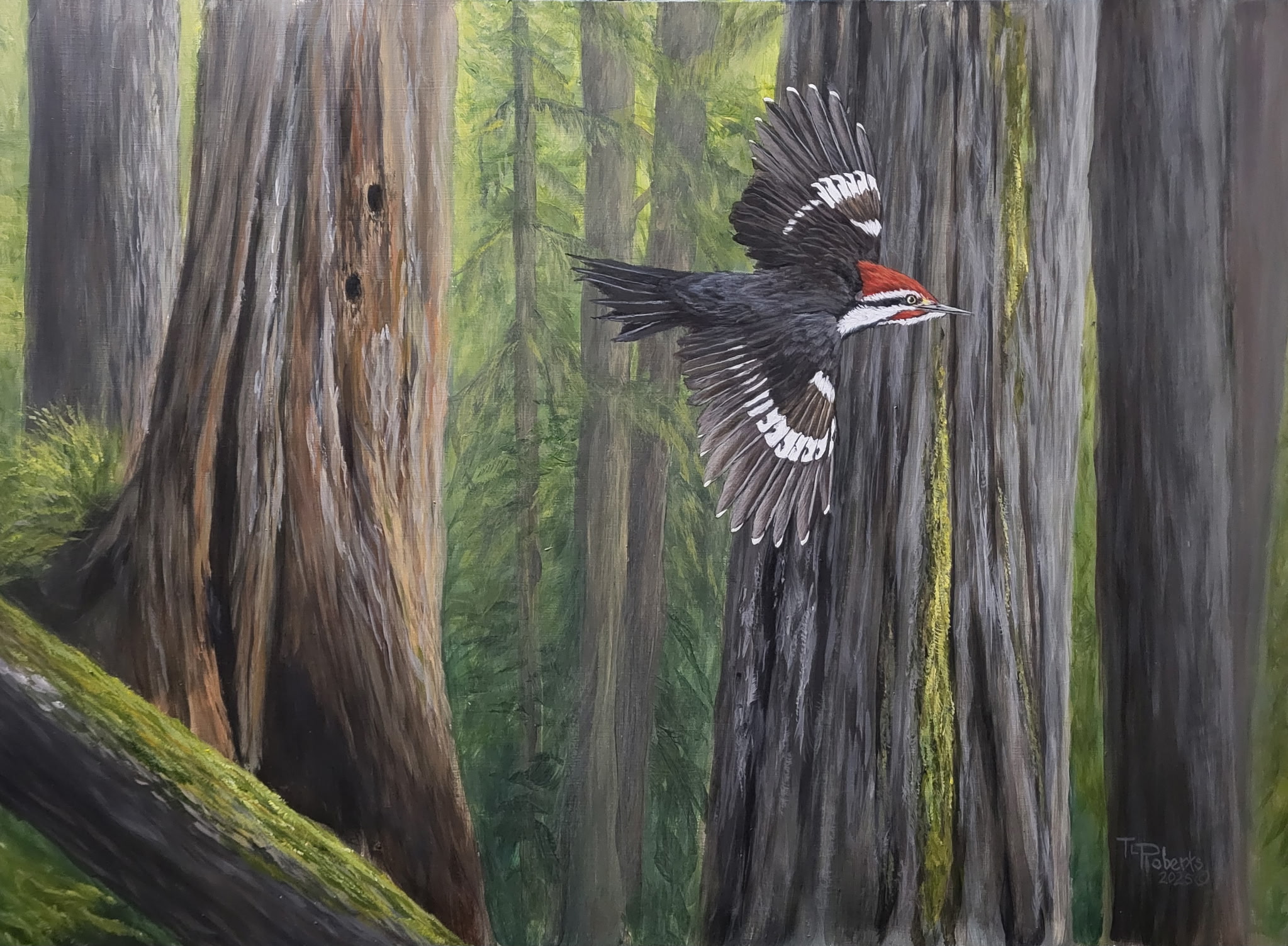 Photo of Tom Robert's exhibit