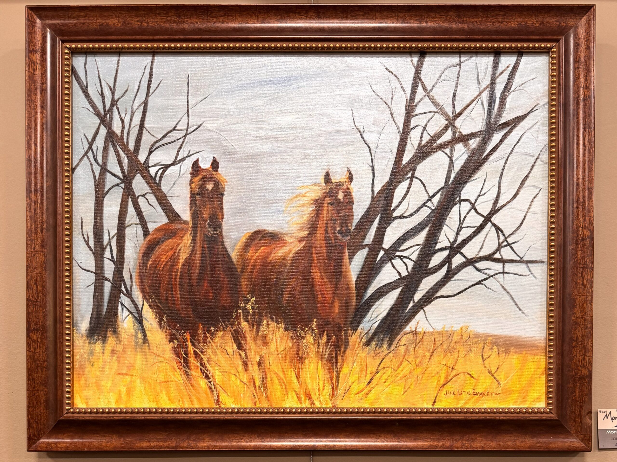 Photo of Jane Emmert's exhibit